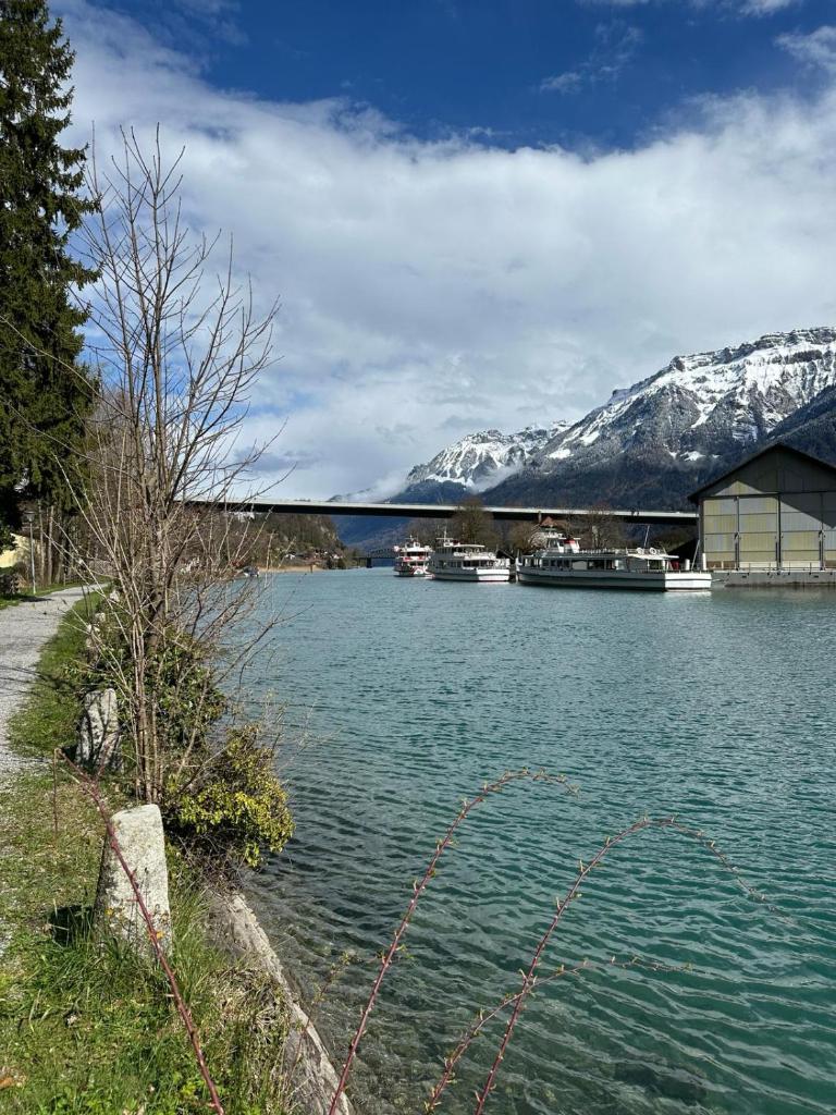 Brienz Strasse photo 3