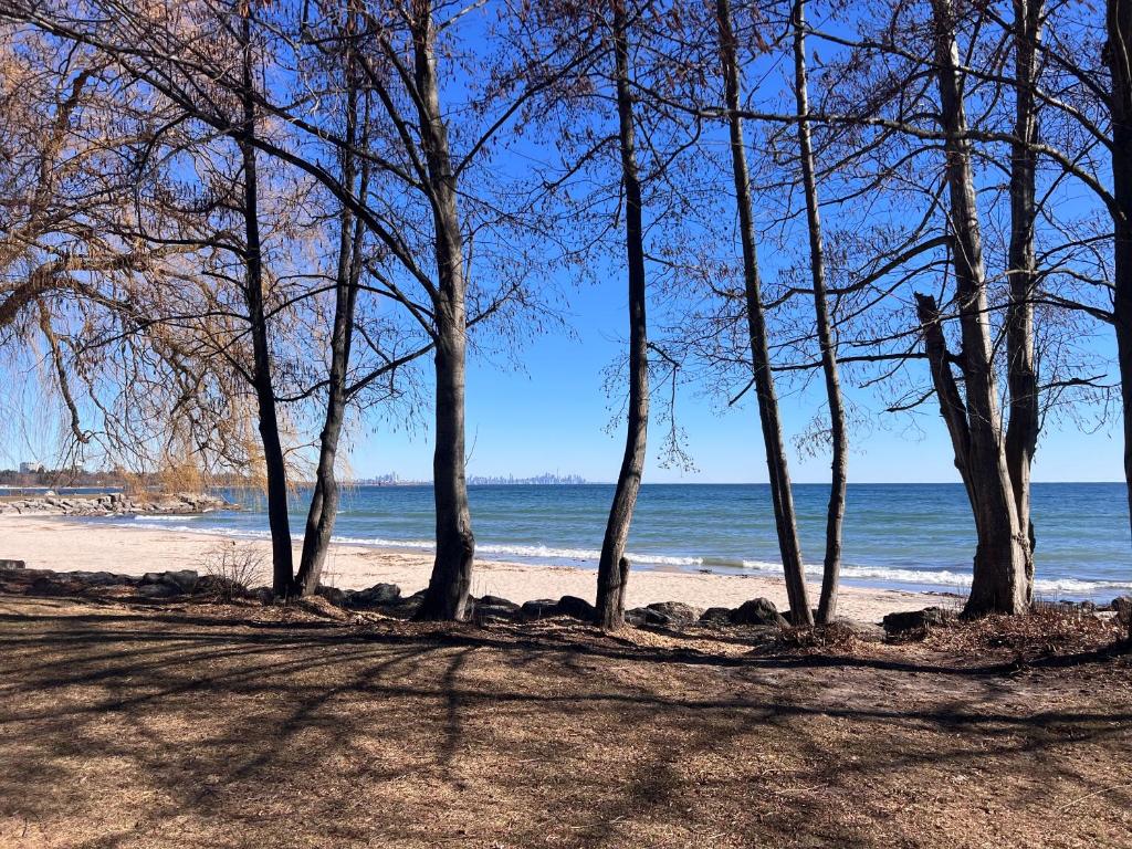 Lakeshore aptMuskoka in the city photo 3