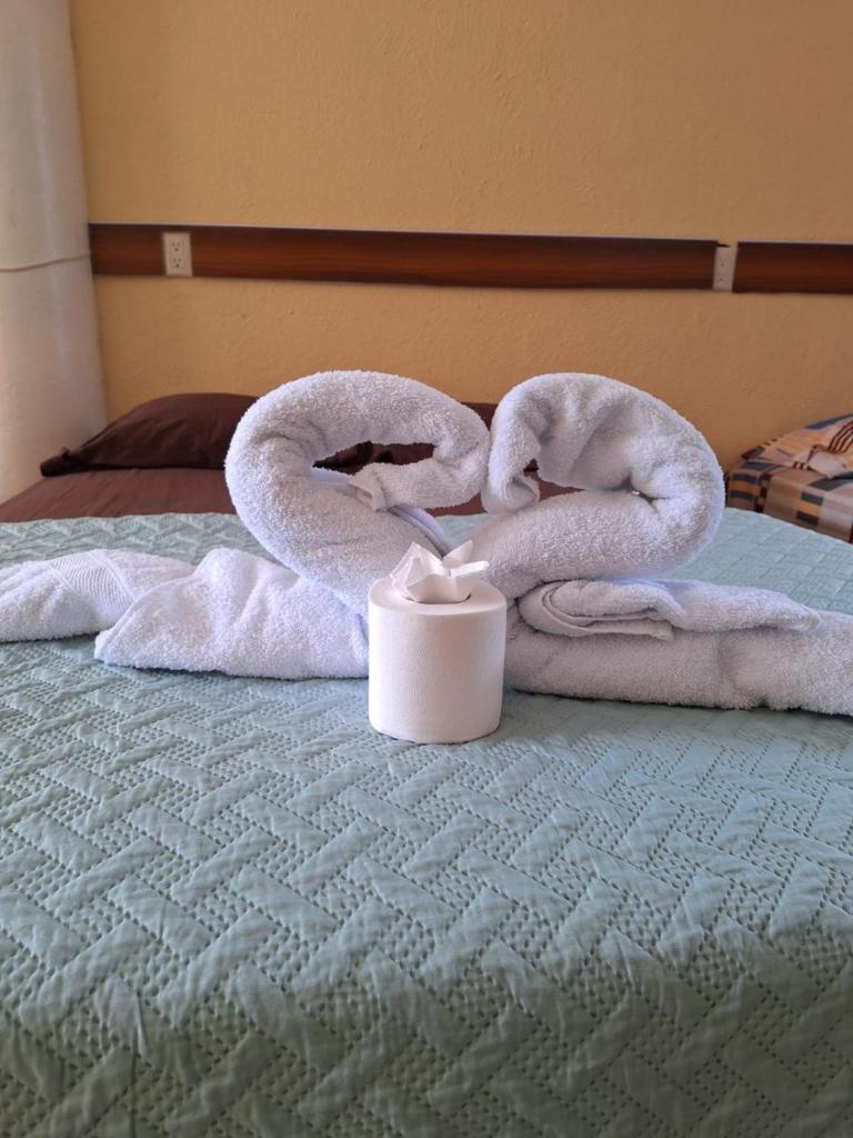Apartamentos Conchita photo 1