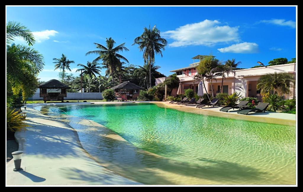 Imagine-Bohol photo 3