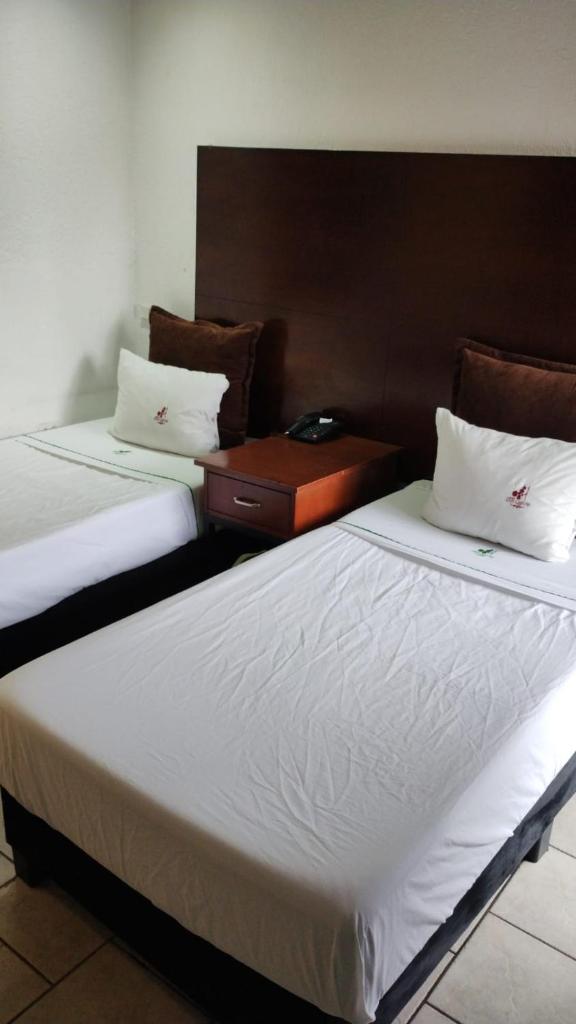 Hotel Don Quijote photo 2