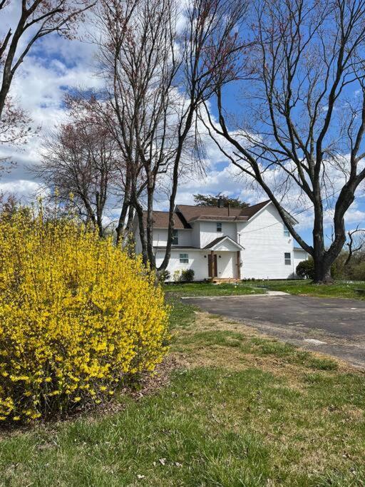 Newly Renovated Modern Farmhouse photo 2