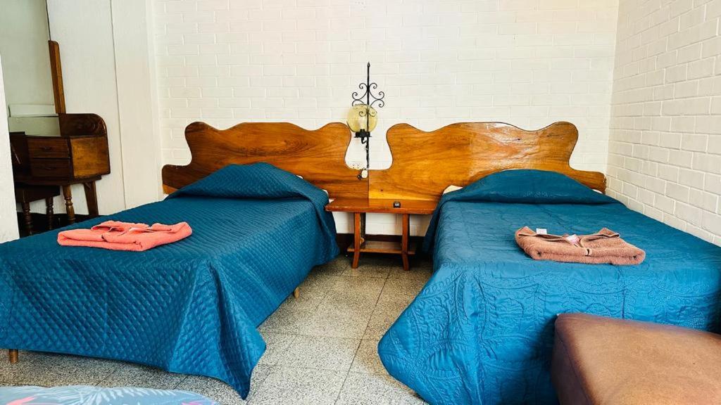 Royal Palace Hostal photo 4