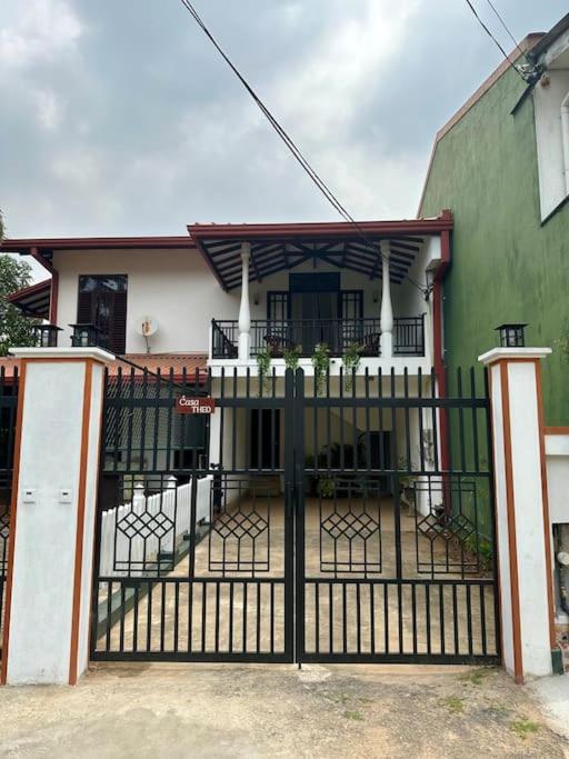 Casa Theo photo 3