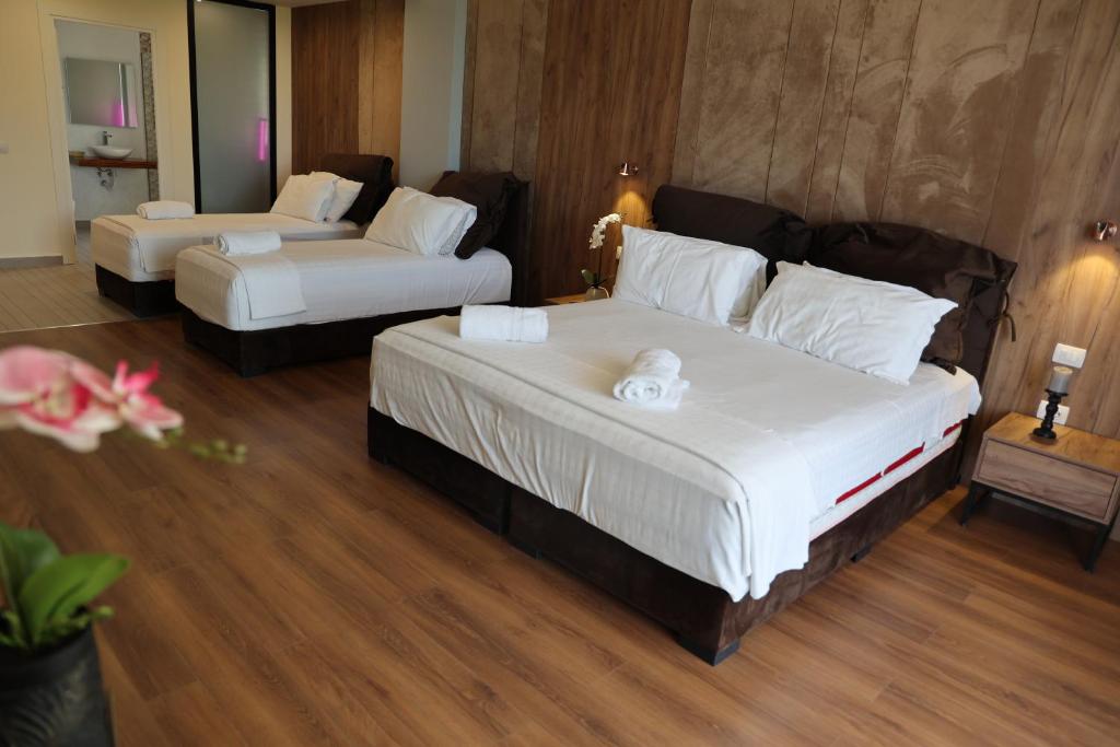 Aria Beach Resort by Hana Turismo photo 1
