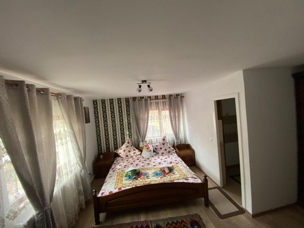 Pensiunea Casa Andrei photo 1