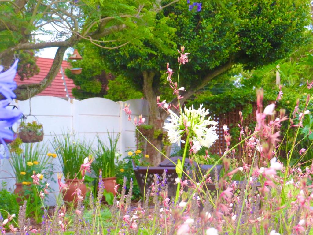 Whistlewood Guesthouse Walmer, Port Eizabeth photo 1