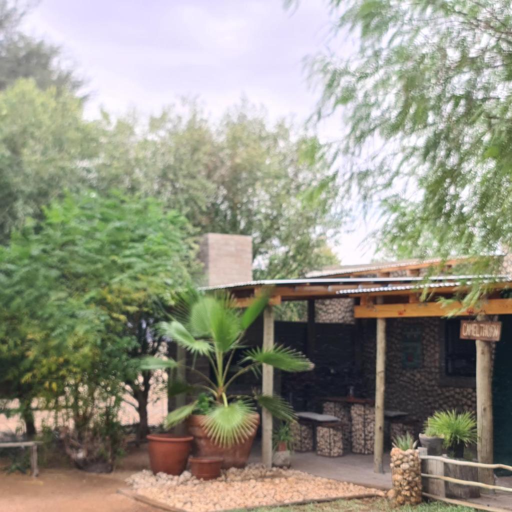Kalahari Camelthorn Guesthouse and Camping photo 1