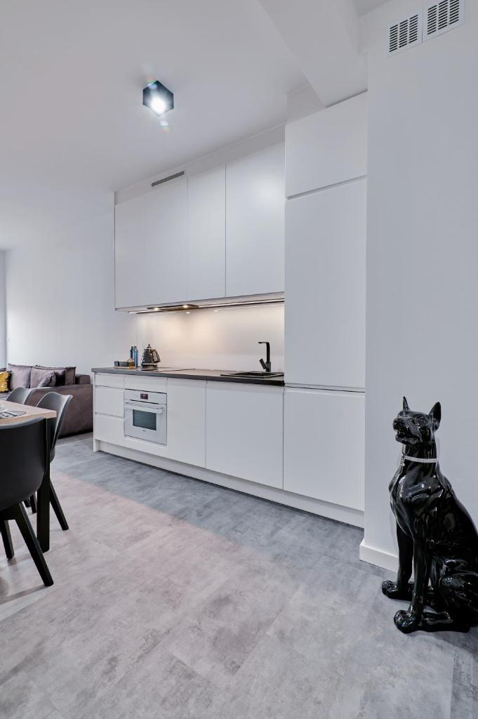 Apartament Sztuk Pięknych 14 photo 4