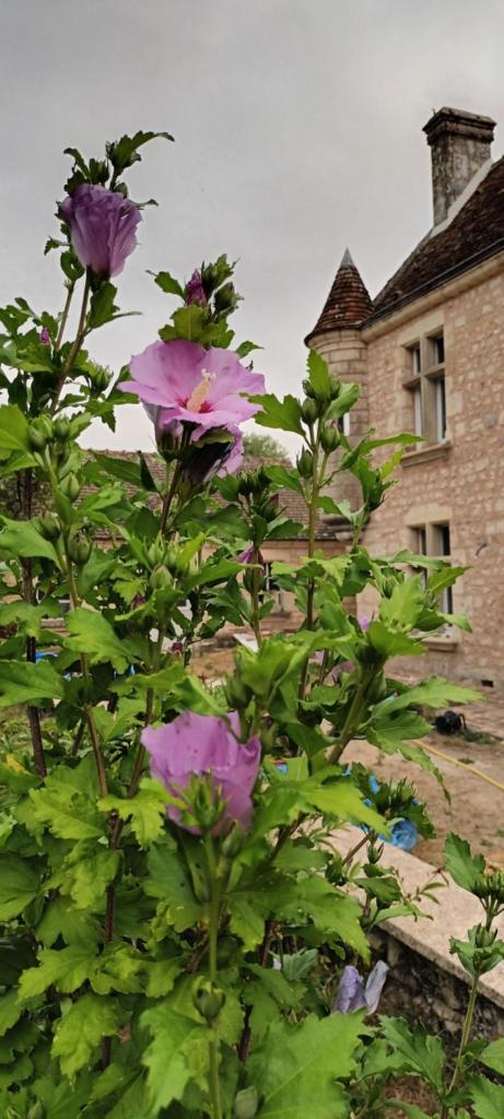 Gîte l'Echauguette du Perche photo 3