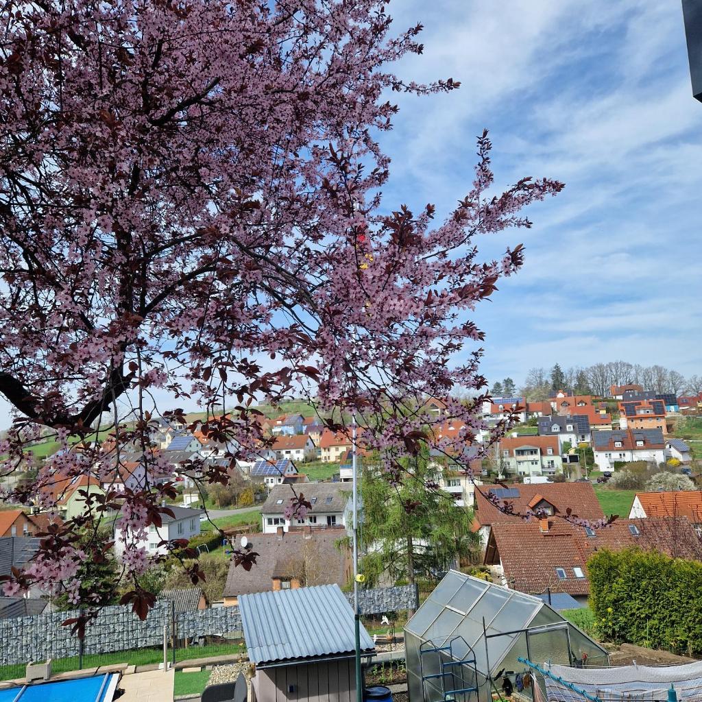 Ferienwohnung Wachter in Viereth mit tollem Ausblick photo 2