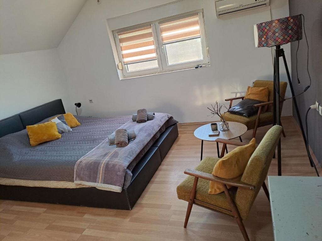 Apartman 1 - Banoštor photo 4