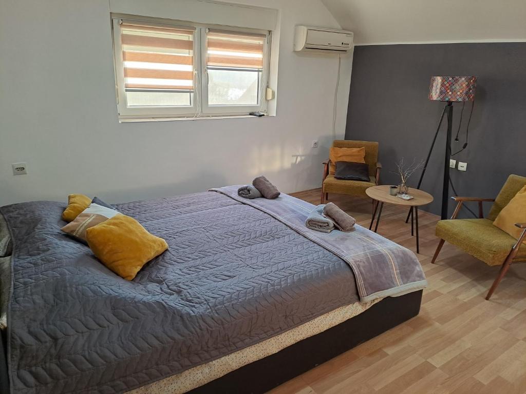 Apartman 1 - Banoštor photo 3