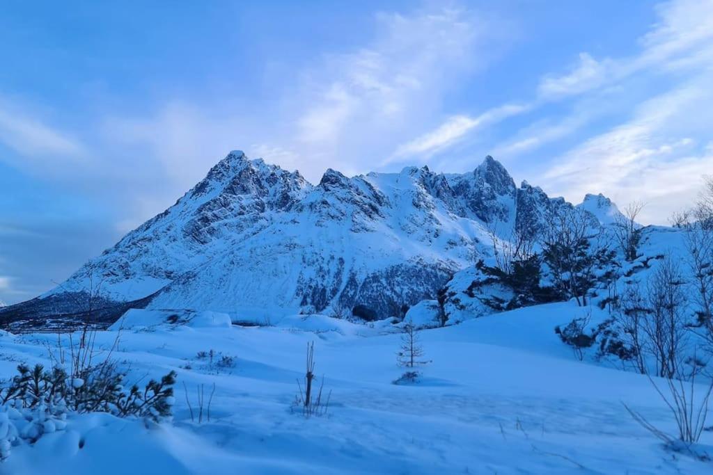 Hytte med panoramautsikt og fantastisk beliggenhet photo 4