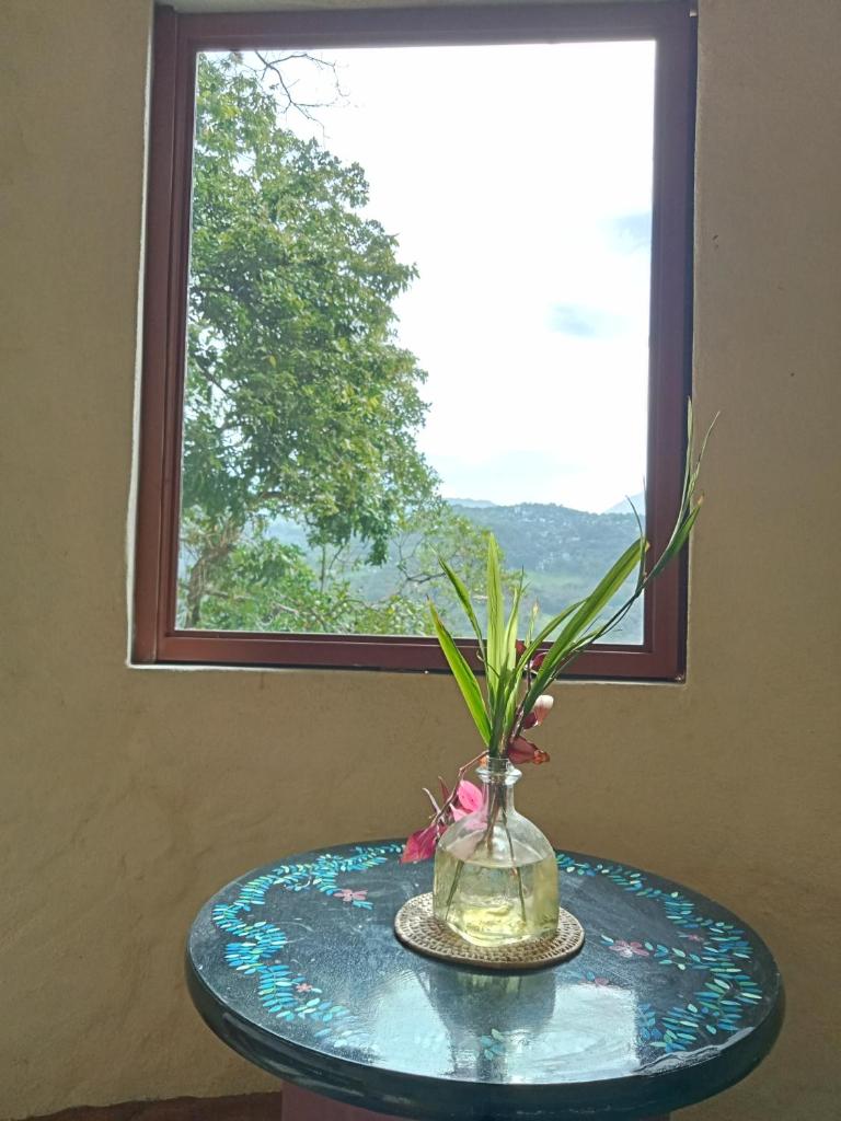 Casa Musgo photo 3