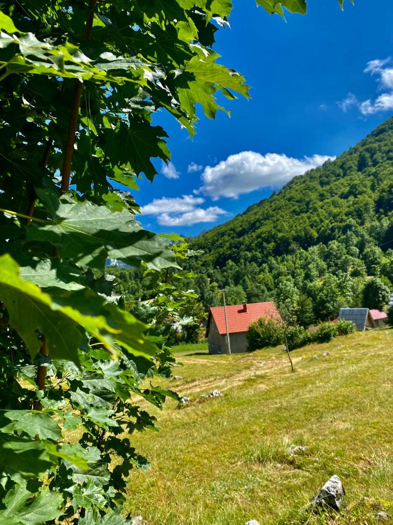 Klisura photo 4