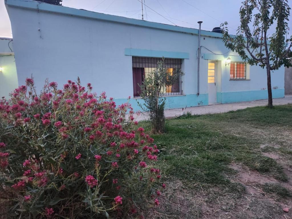 Casa Verde
