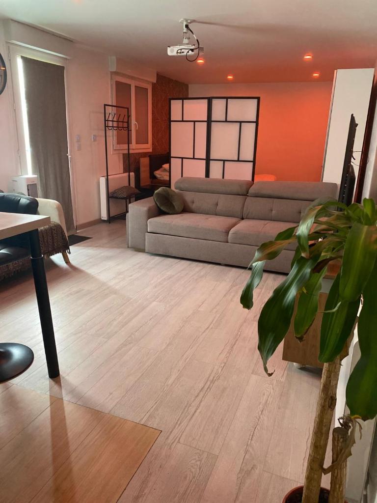 Grand studio 40m2 chaleureux photo 1