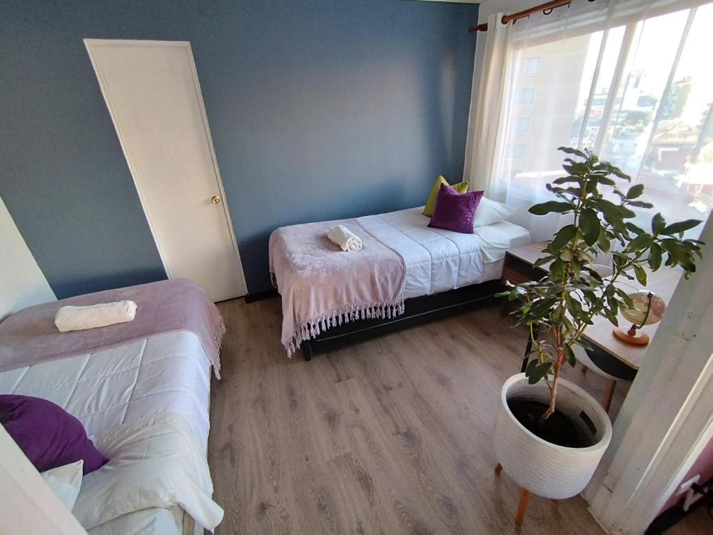 Hostal Casa Lhotse photo 4