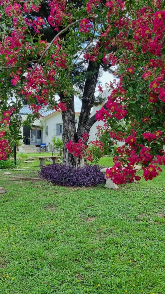 Casa de Campo - Don Bosco