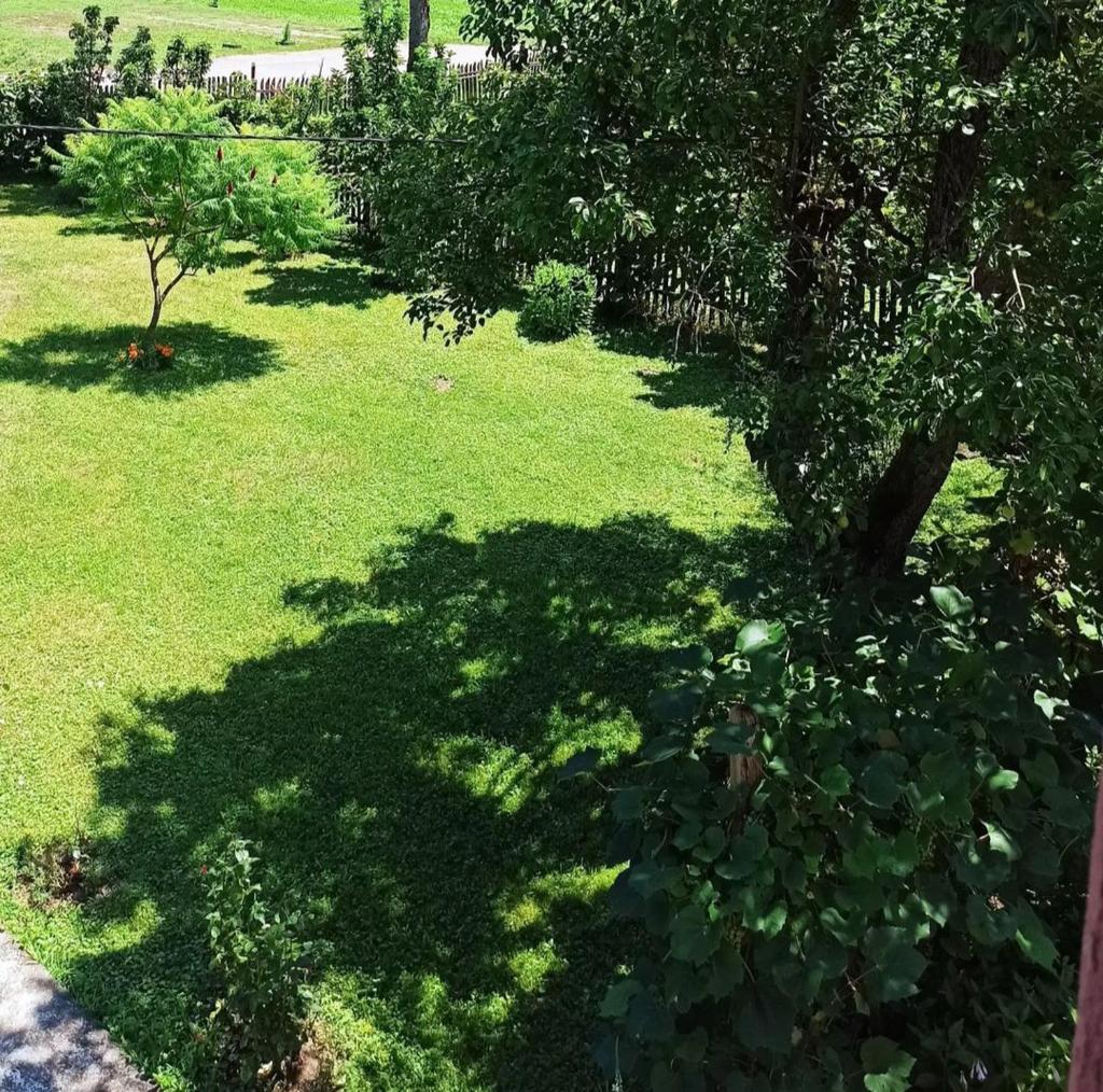 Drinska lepota photo 2