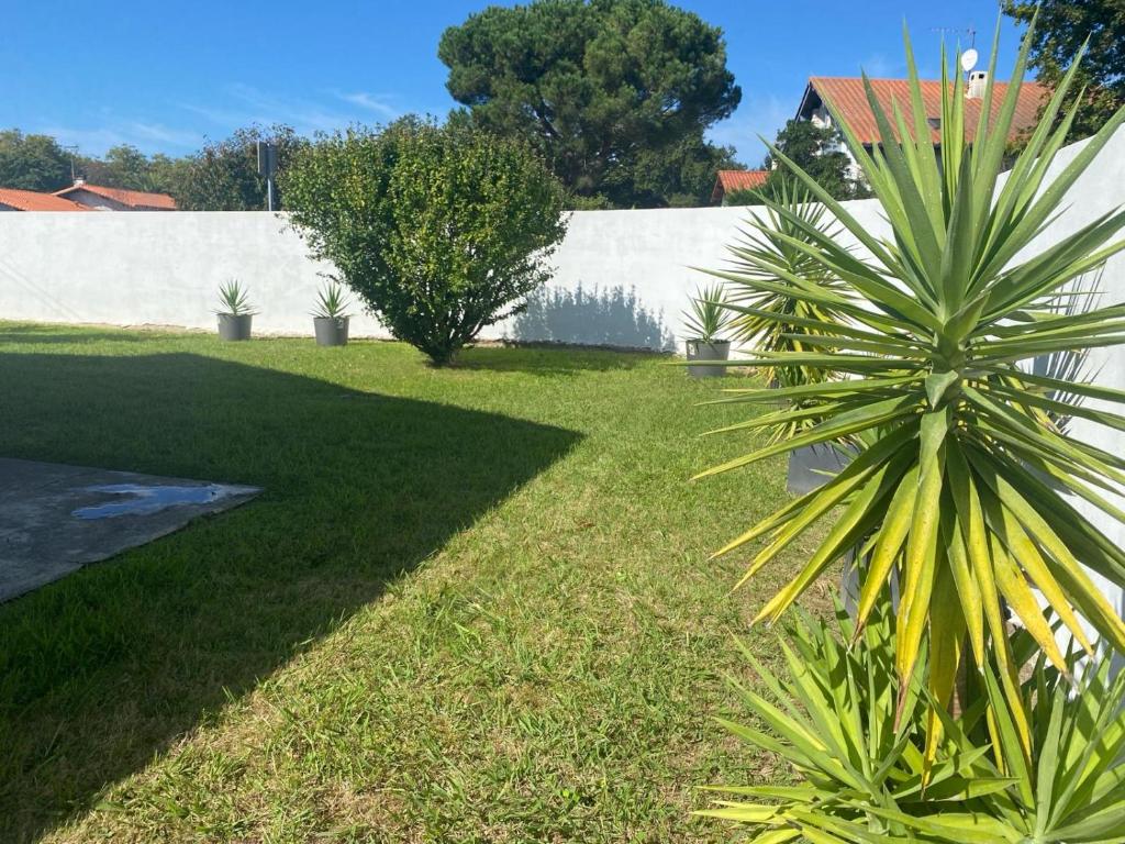villa cosy 5 minutes de bayonne, 15 minutes des plages photo 4
