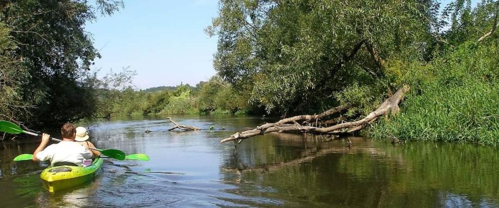 NA SKRAJU PUSZCZY Zabłotczyzna DOMEK NA PODLASIU photo 4