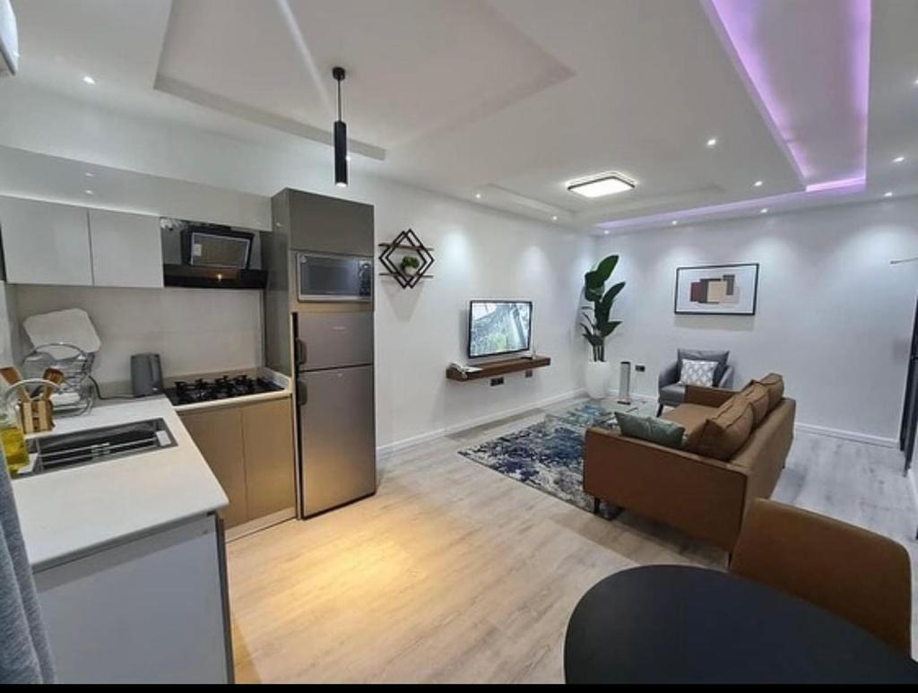 1 bedroom furnished apartment photo 4