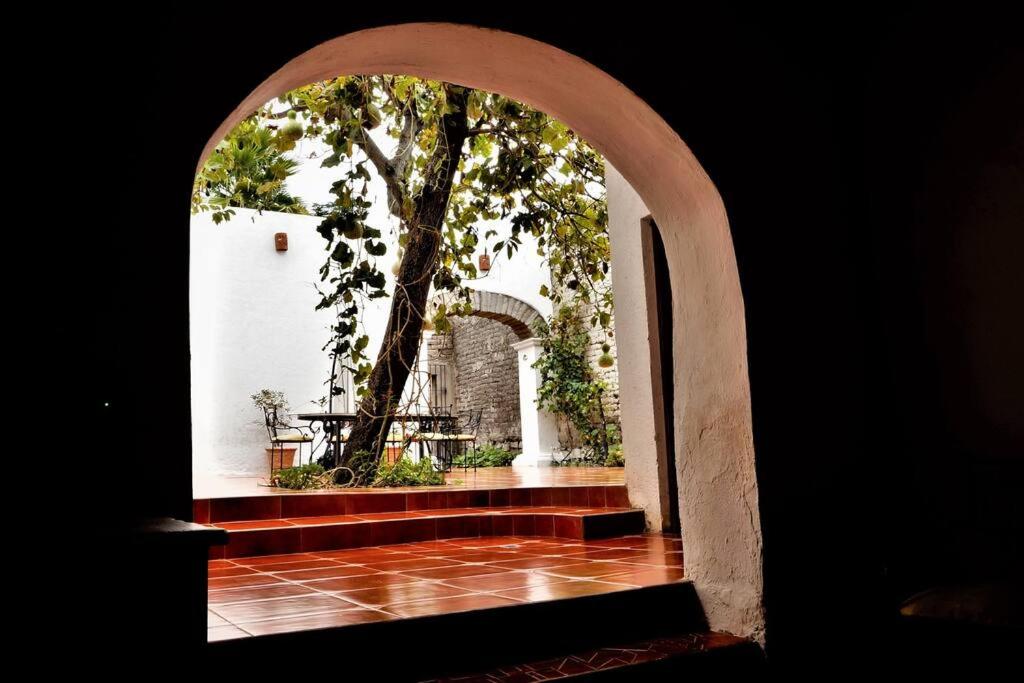 Casa Orquídea con Alberca en Centro Histórico photo 1