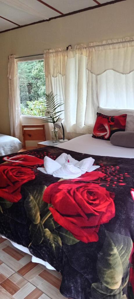 Miriam'S Quetzals lodge photo 3