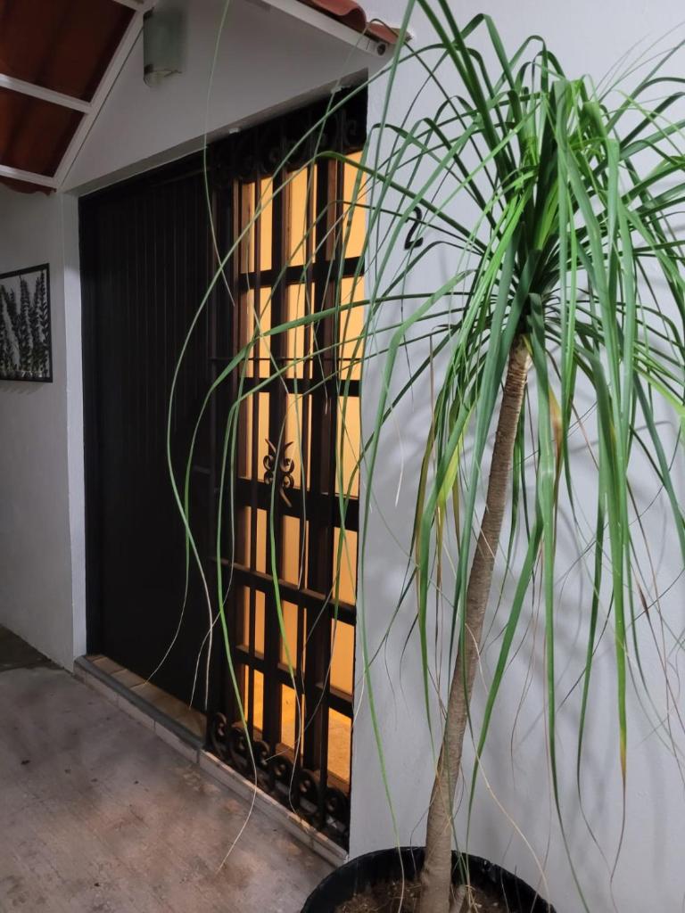 Casa B & L Céntrico Departamento photo 1