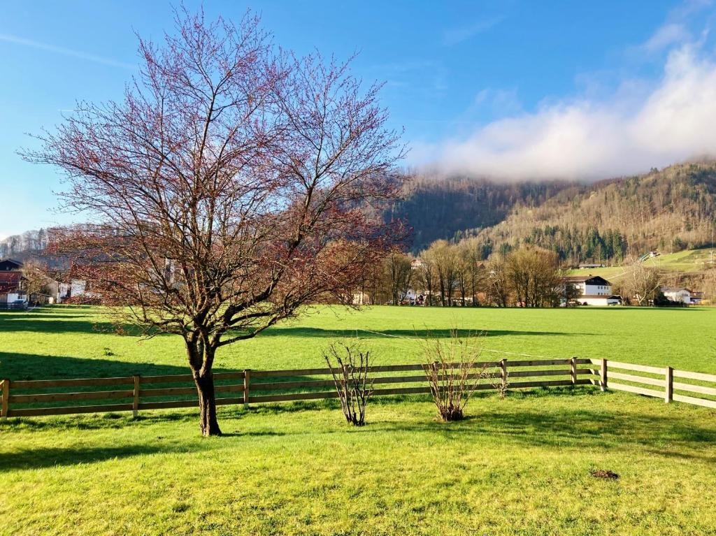 Open Garden Mountain Lodge