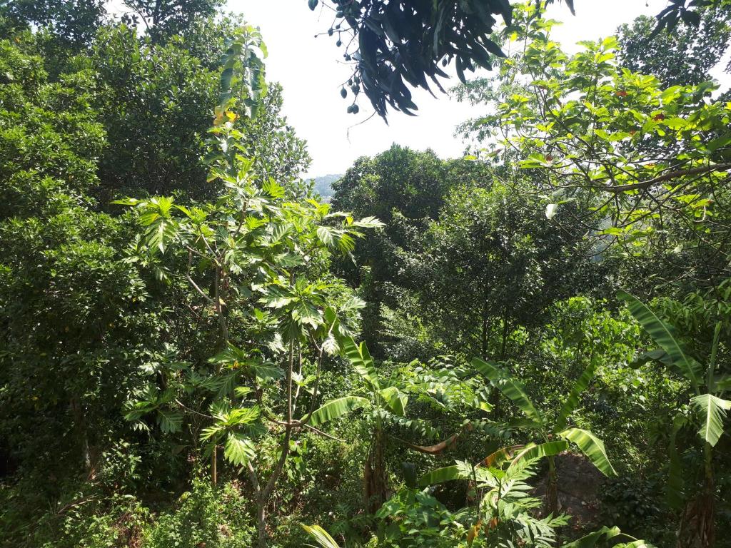Mountain View Home stay photo 1