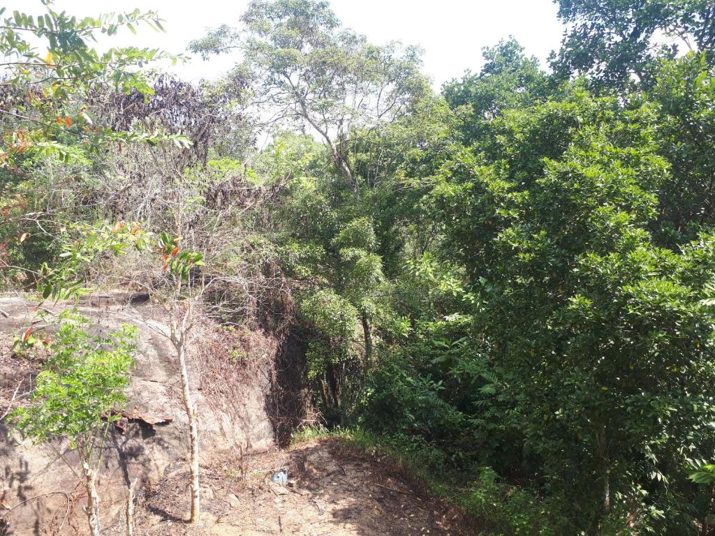 Mountain View Home stay photo 4