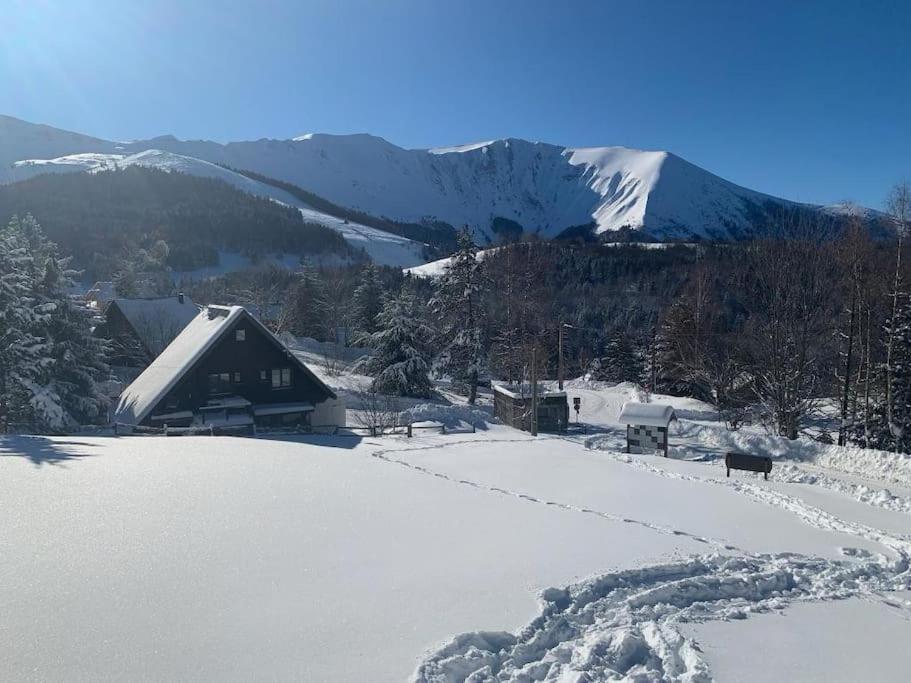 Beautiful *** Chalet Le Gentiane in L'Alpe du Grand Serre photo 4