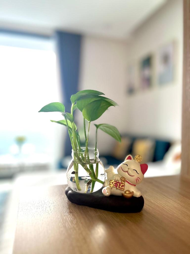 Sam's homestay- Solforest studio apartment photo 2