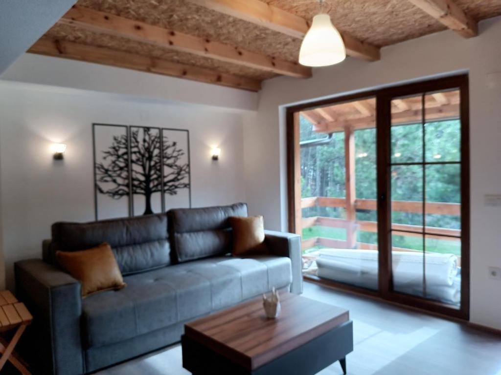 Anita`s home photo 1