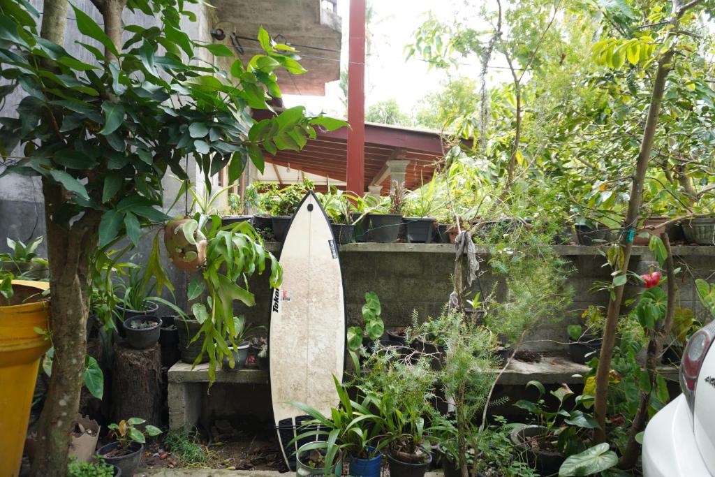PASSIONFRUIT HOMESTAY photo 4