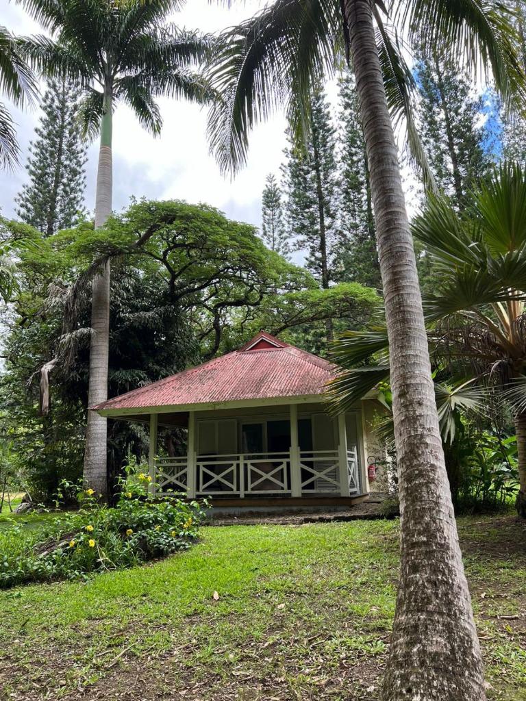 Bungalow Sarraméa photo 1