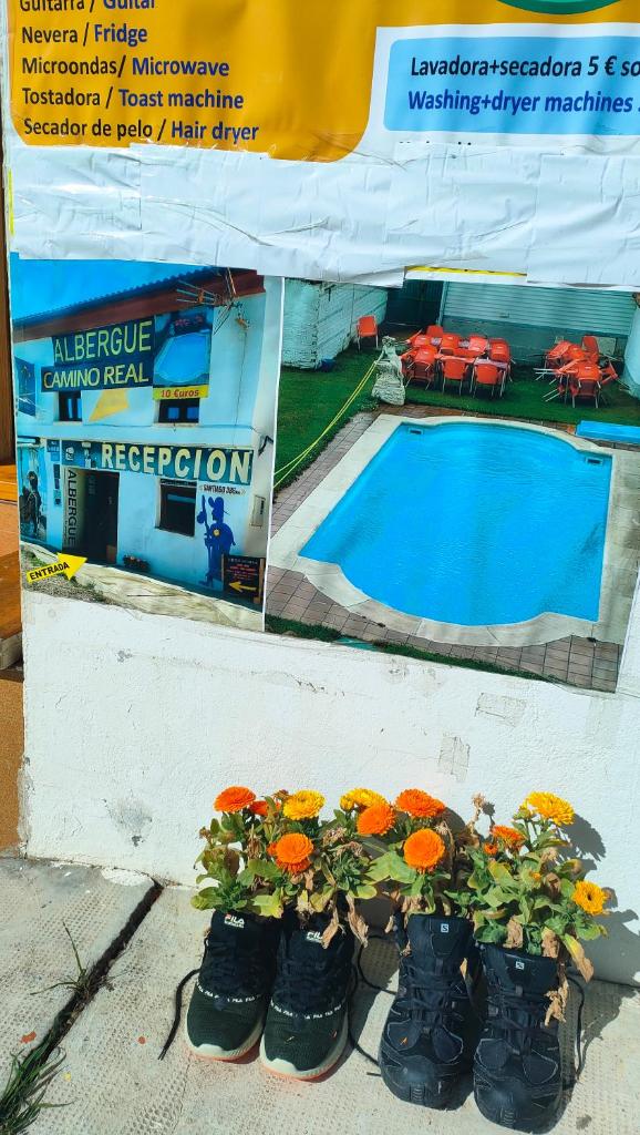 albergue camino real photo 4