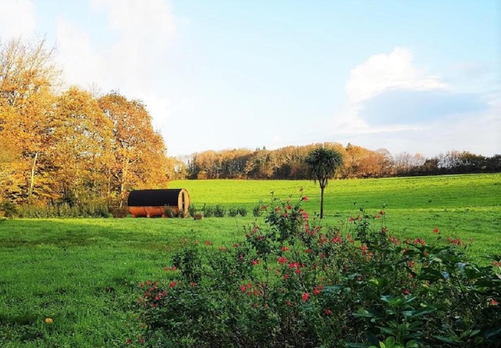 Le Domaine de Kerampape, gîte accessible, vignoble en Finistère sud photo 2