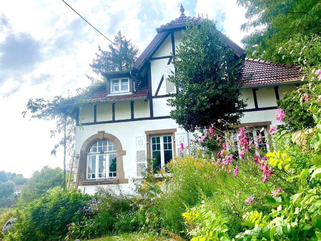 LA VILLA DES OISEAUX - La Petite Pierre photo 2