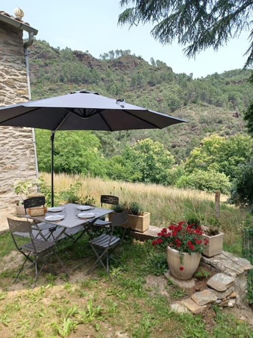 La Clède, logement charmant au cœur des Cévennes photo 4