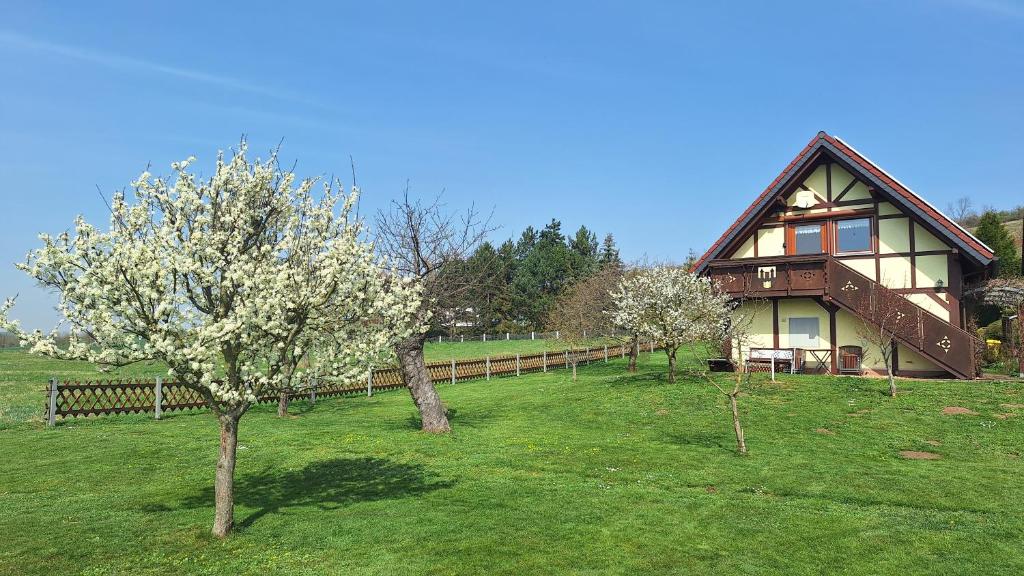 Ferienwohnung zur Saaleaue photo 1