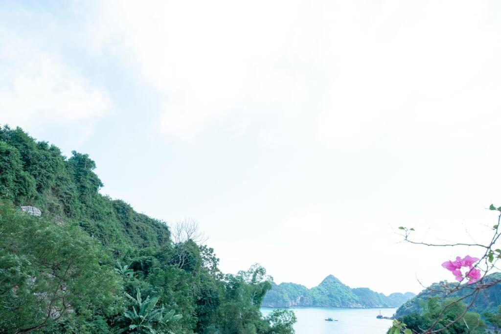 AROMA HOUSE - Private entire house on Cat Ba island