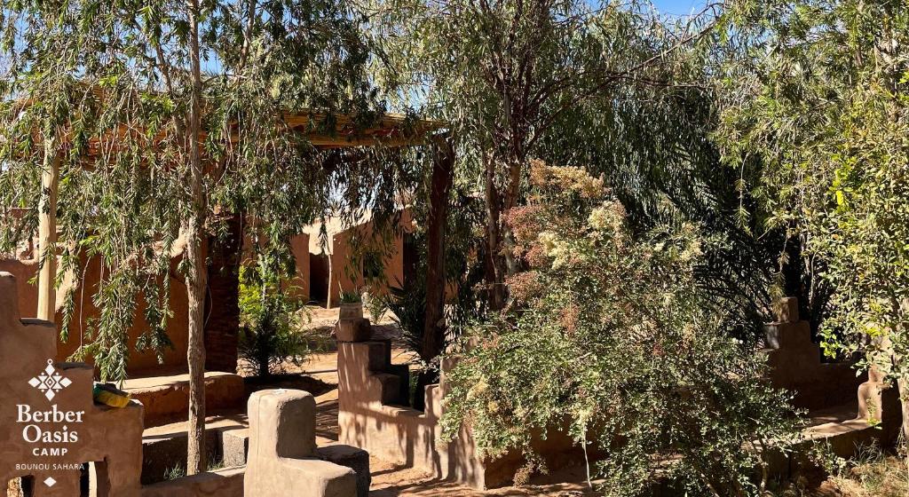 Berber Oasis Camp photo 4
