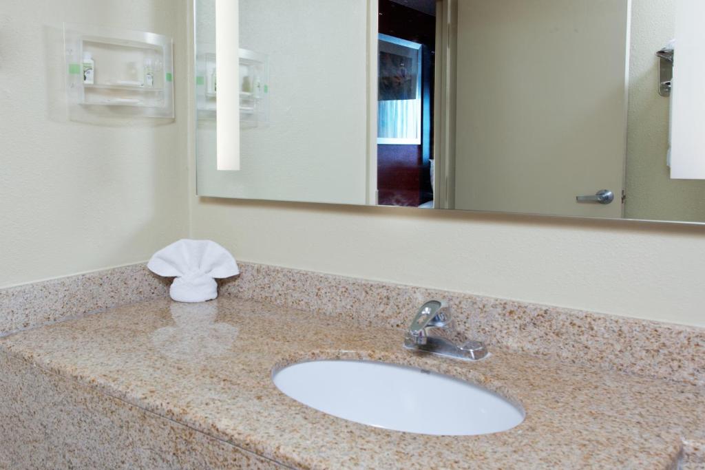 Holiday Inn Shreveport Downtown, an IHG Hotel photo 3