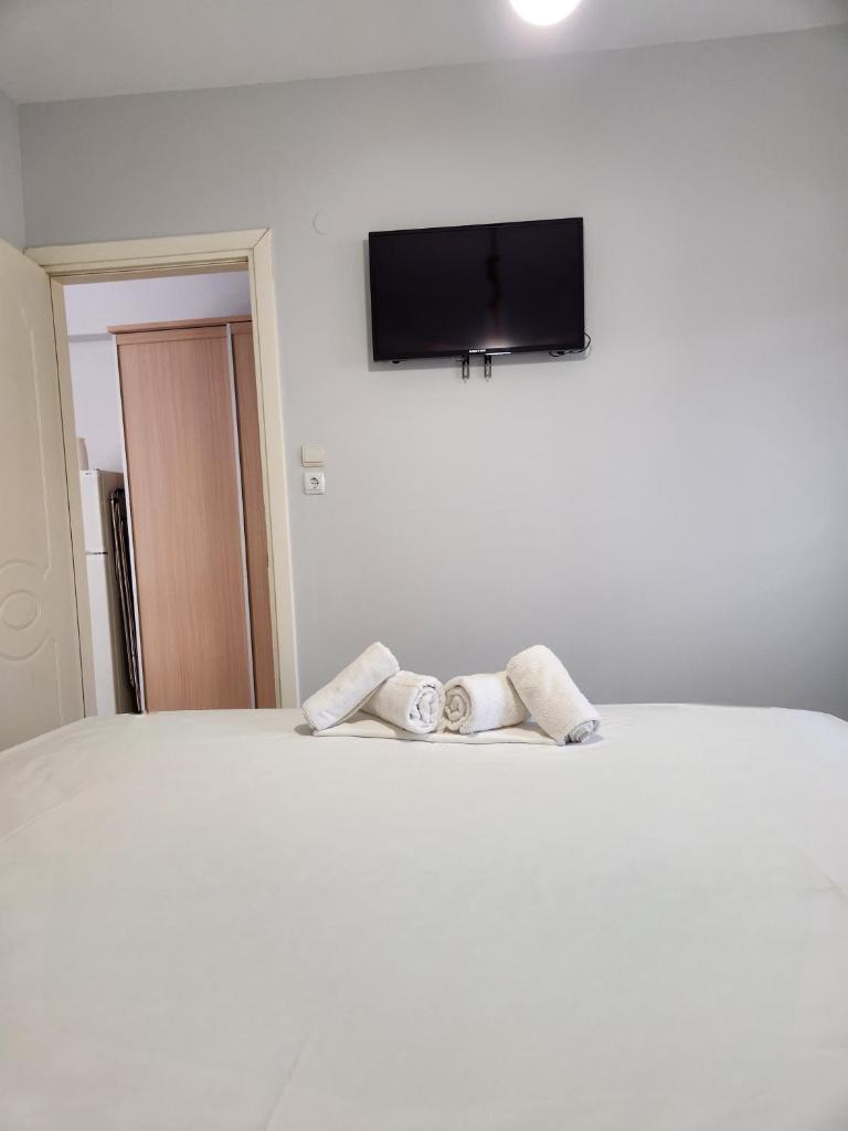 Breeze apartments- Nea plagia (garden) photo 2