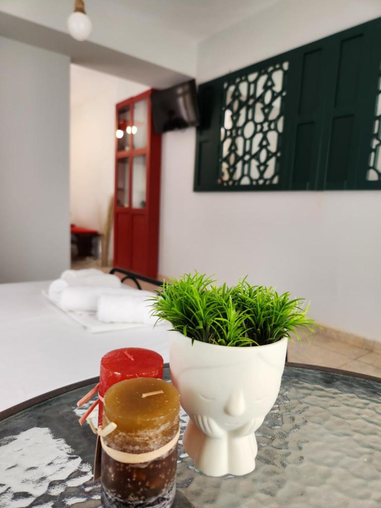 Breeze apartments- Nea plagia (garden) photo 3