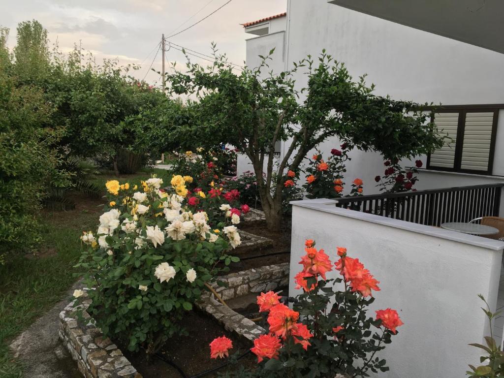 Hotel Suzanna photo 2